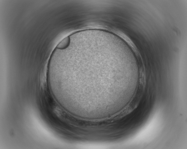 X0000110891439200907091345