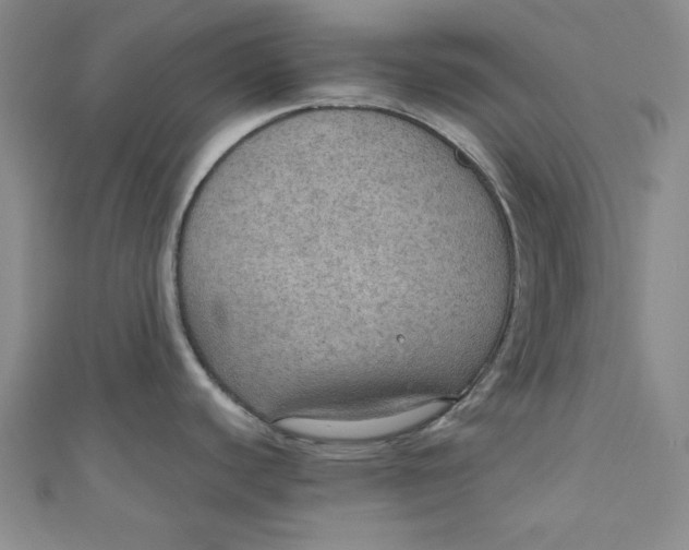 X0000110891440200907091345