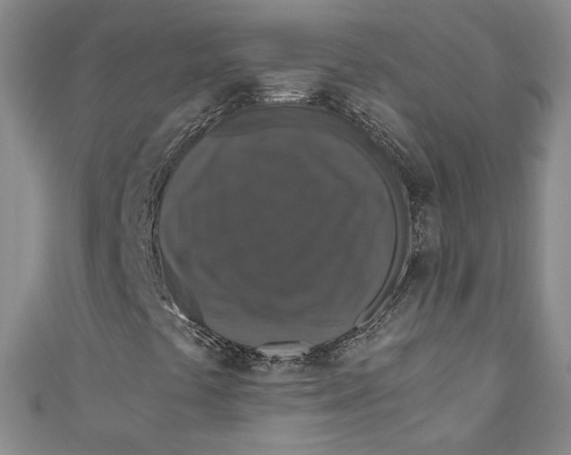 X0000110891441200907091344