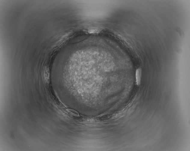 X0000110891443200907091344