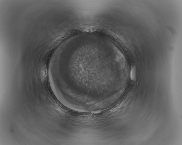 X0000110891444200907091344