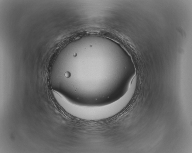 X0000110891445200907091344