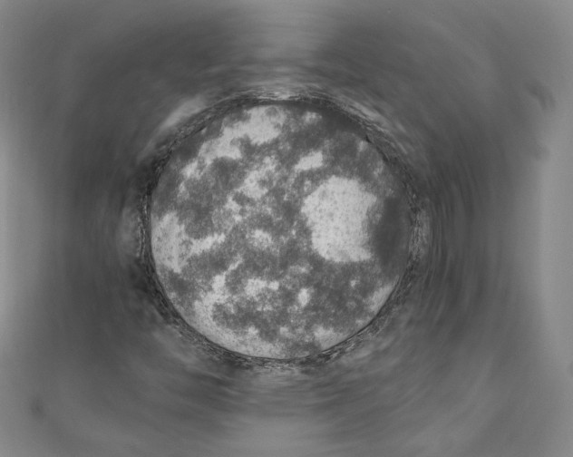 X0000110891446200907091344