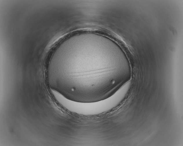 X0000110891448200907091344