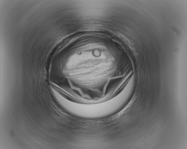 X0000110891449200907091344