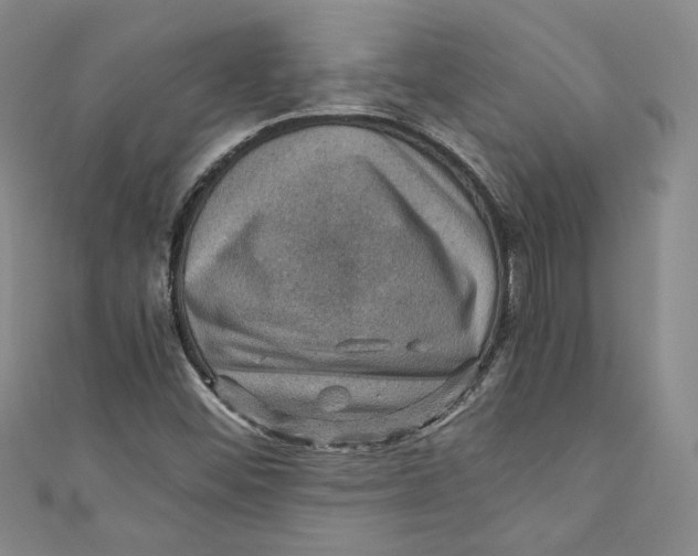 X0000110891452200907091344