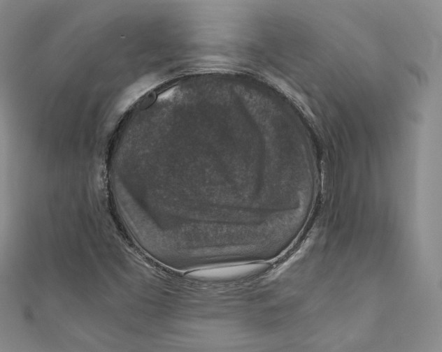 X0000110891453200907091344