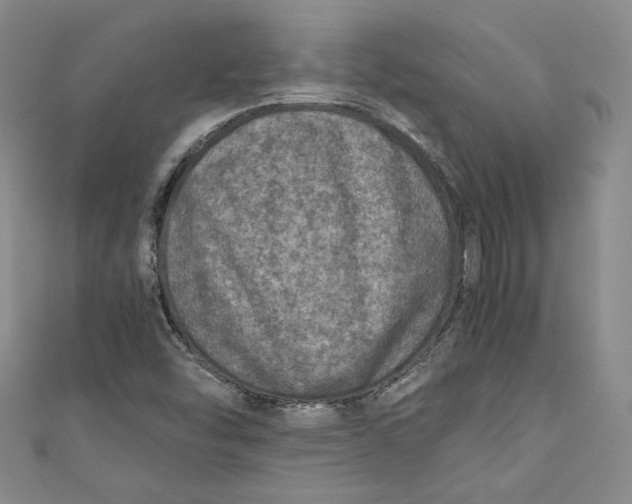 X0000110891454200907091344