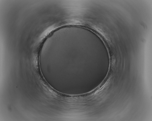 X0000110891455200907091344