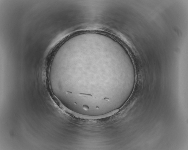 X0000110891456200907091344