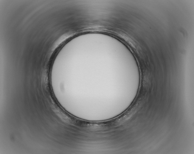 X0000110891458200907091344