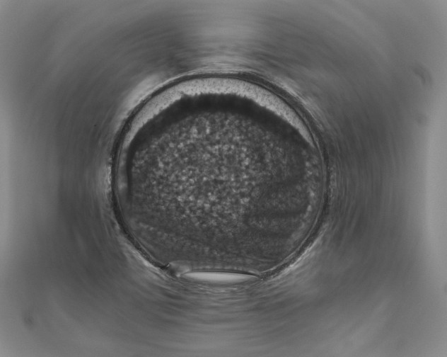 X0000110891459200907091344