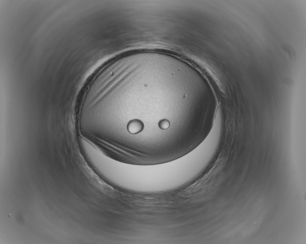 X0000110891460200907091344