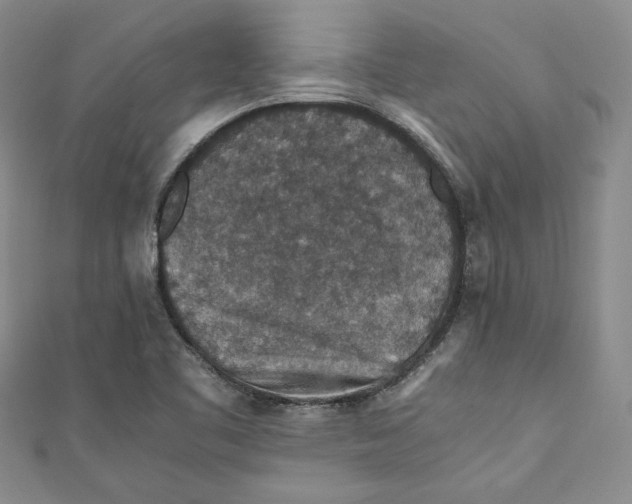 X0000110891461200907091344