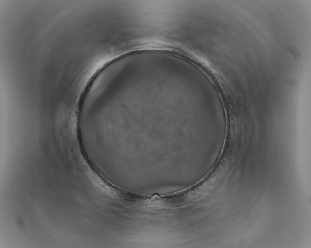 X0000110891463200907091344