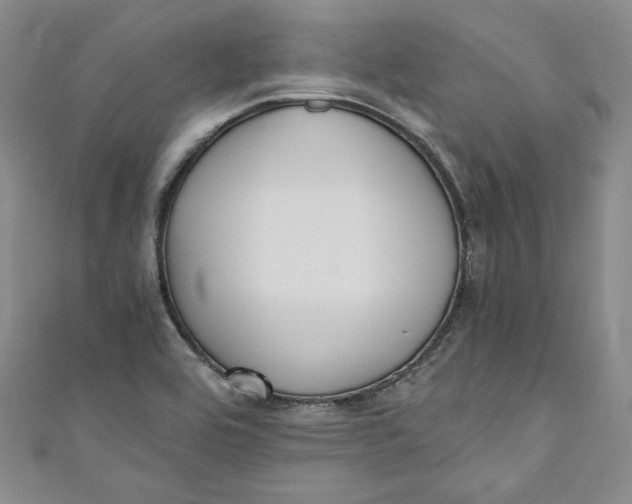 X0000110891464200907091344