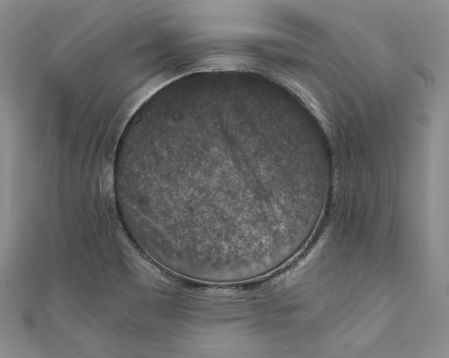 X0000110891465200907091344