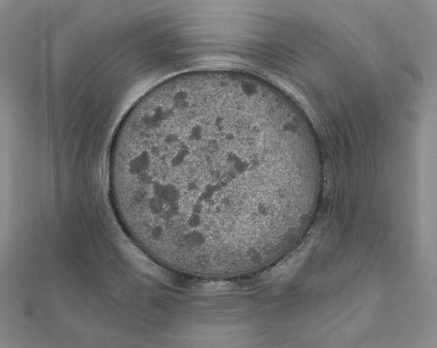 X0000110891467200907091344