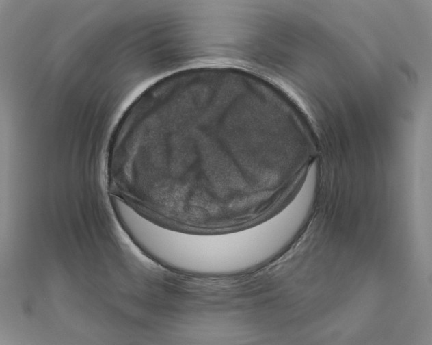 X0000110891468200907091344