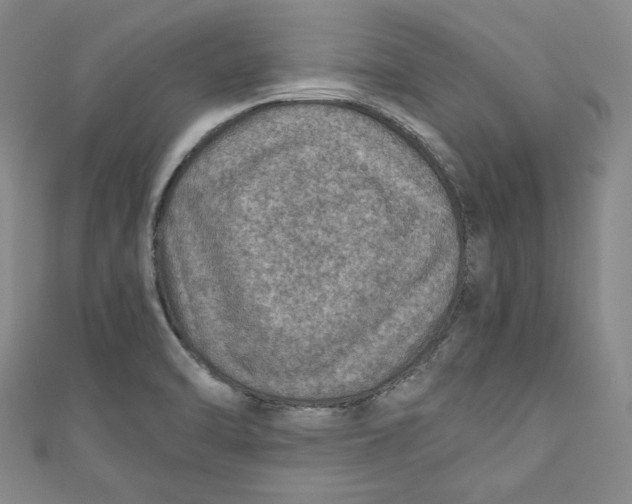 X0000110891470200907091344