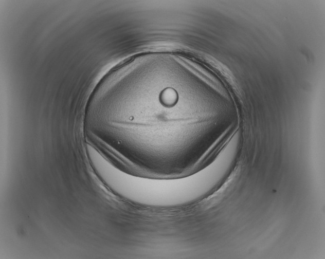 X0000110891473200907091344