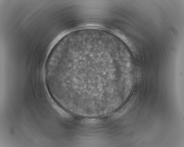 X0000110891474200907091344