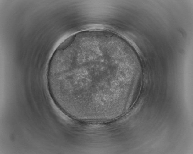 X0000110891475200907091344