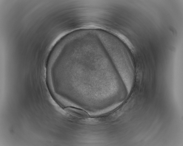 X0000110891476200907091344