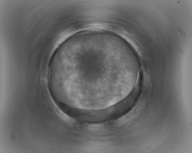 X0000110891477200907091344