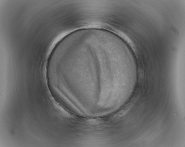 X0000110891480200907091344