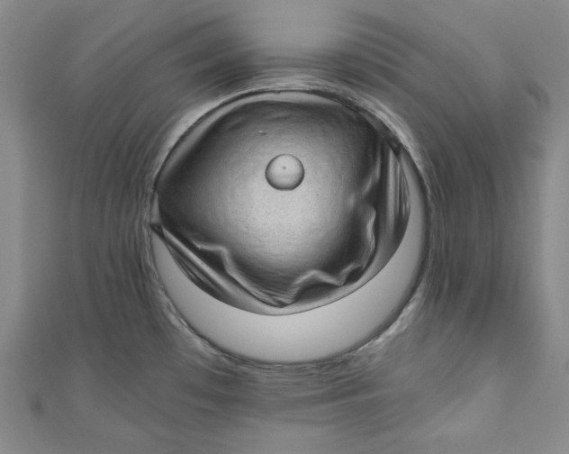 X0000110891481200907091344