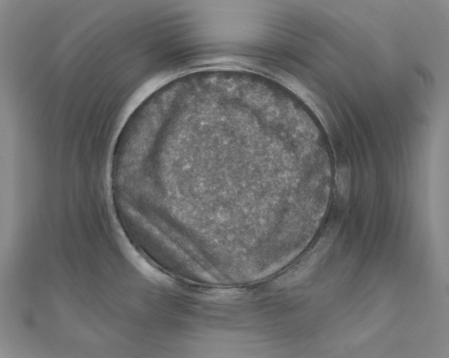 X0000110891482200907091344