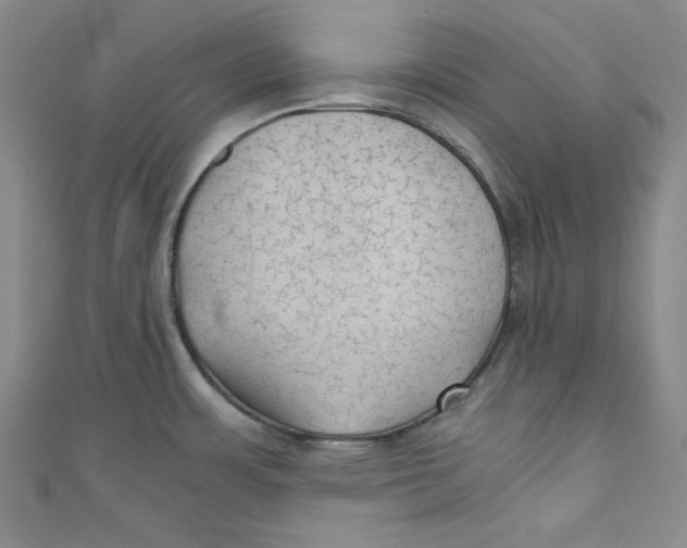 X0000110891483200907091344