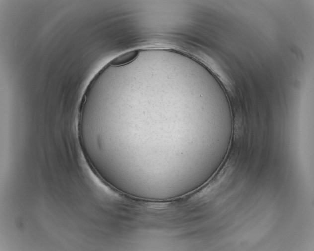 X0000110891484200907091344