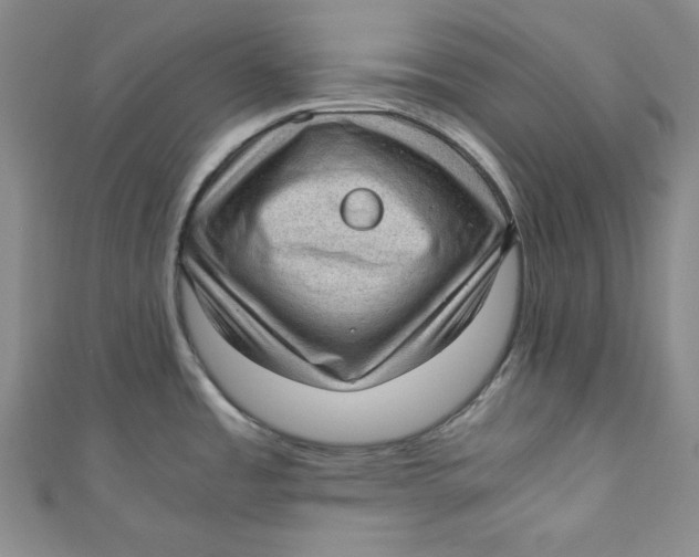 X0000110891485200907091344