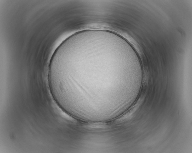 X0000110891486200907091344