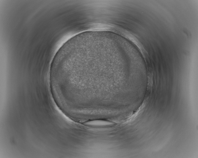 X0000110891487200907091344