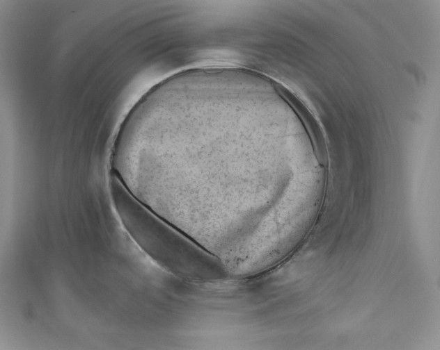 X0000110891488200907091344