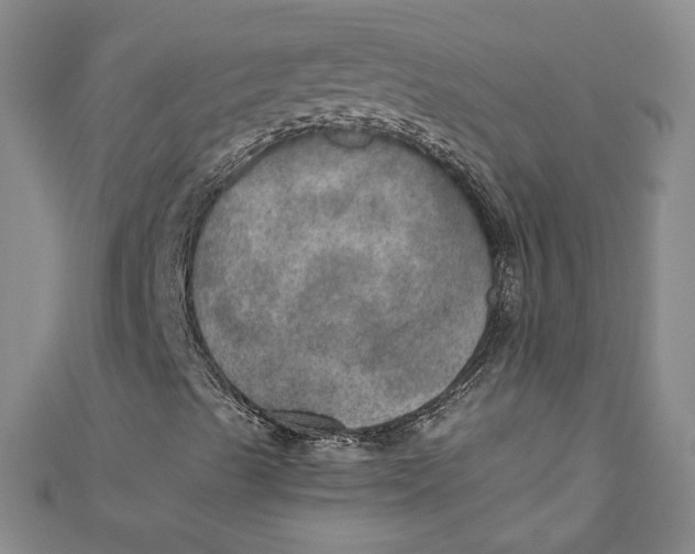 X0000110891489200907091343