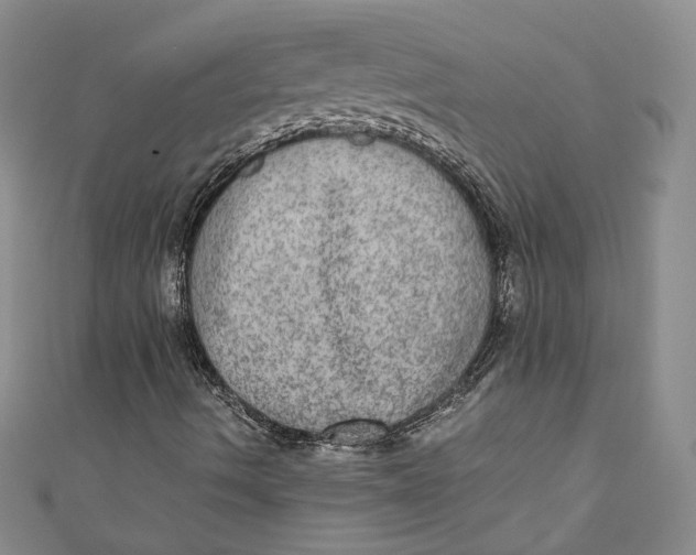 X0000110891490200907091343