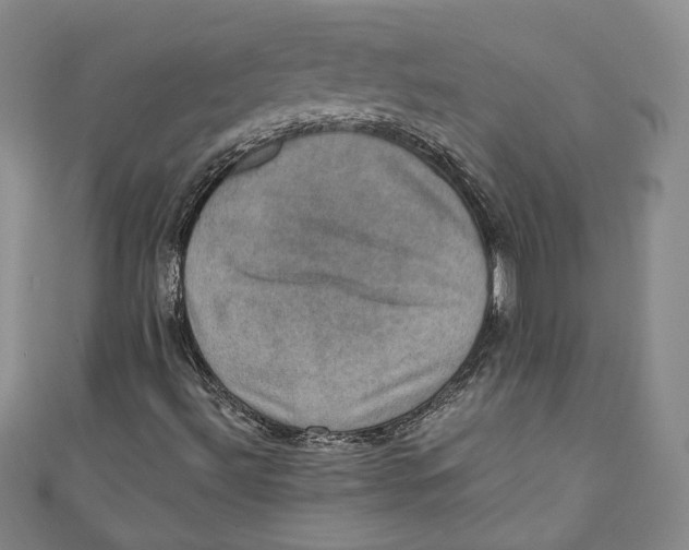 X0000110891492200907091343