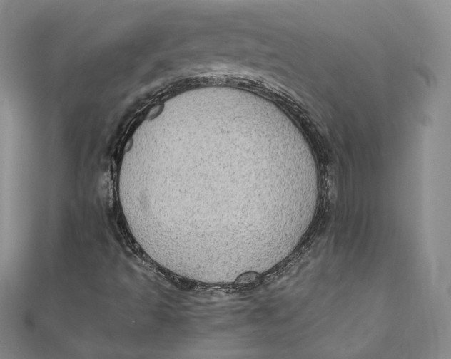 X0000110891493200907091343