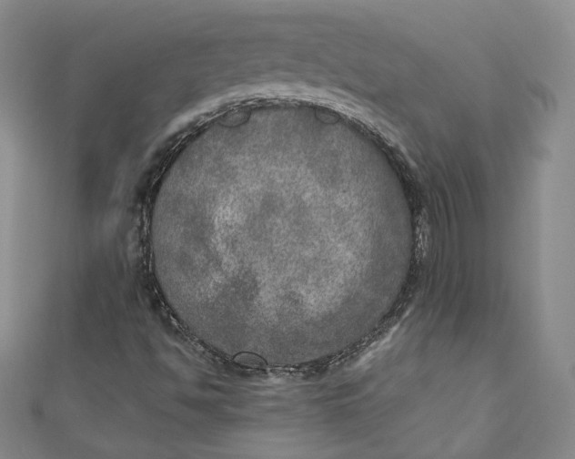 X0000110891494200907091343