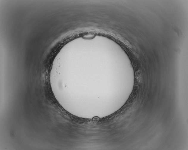 X0000110891495200907091343