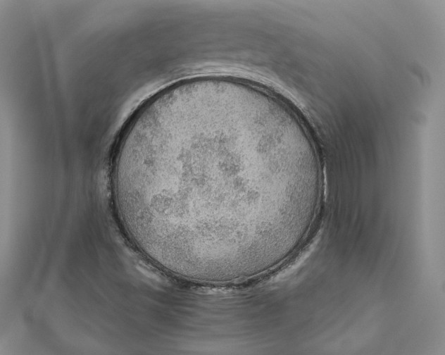 X0000110891501200907091343