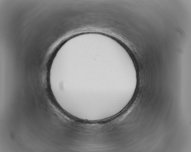 X0000110891502200907091343