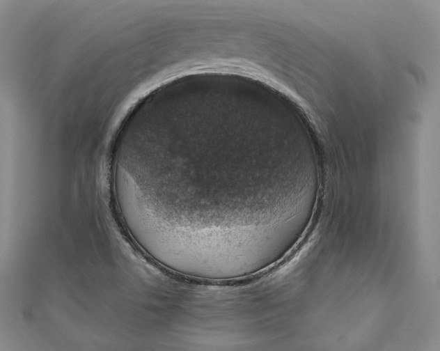 X0000110891506200907091343