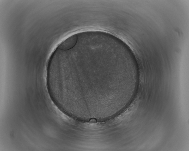 X0000110891508200907091343