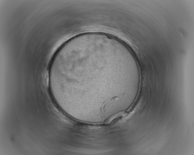 X0000110891509200907091343