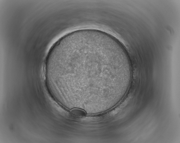 X0000110891510200907091343